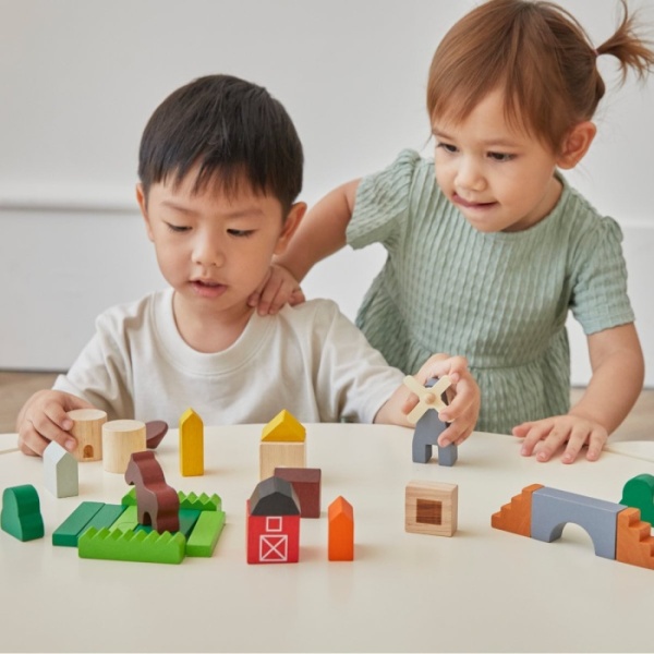 Plan Toys Country Blocks